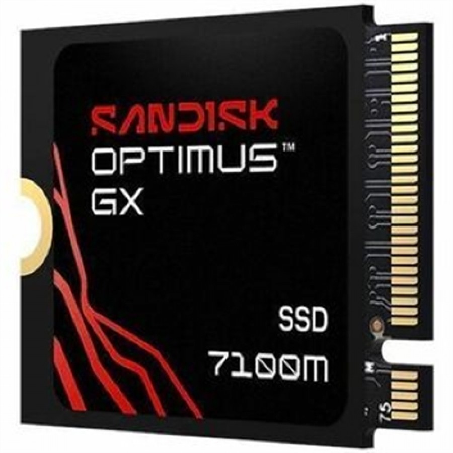SANDISK TECHNOLOGY INC Optimus GX 7100M PCIe-G4 2TB