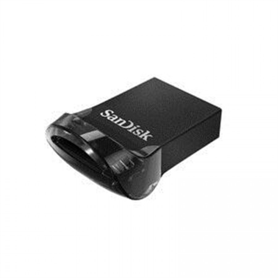 SANDISK TECHNOLOGY INC 256GB USB Flash Drive