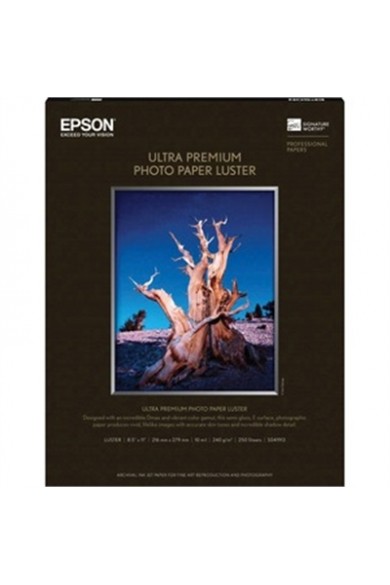Epson Photo Prem Luster 250SHT 8.5X1