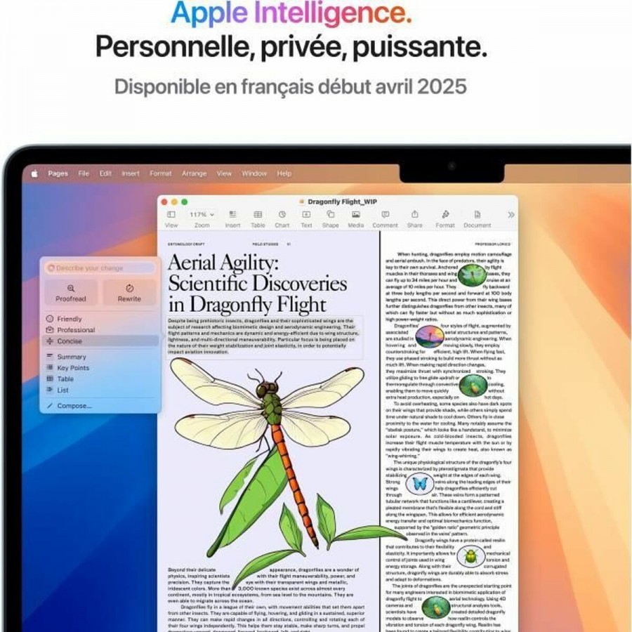 Laptop Apple MacBook Air M4 SSD 13,6