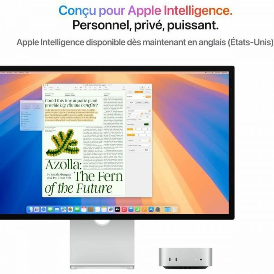 Mini PC Apple Mac mini (2024) Apple M4 chip 512 GB M4 24 GB RAM