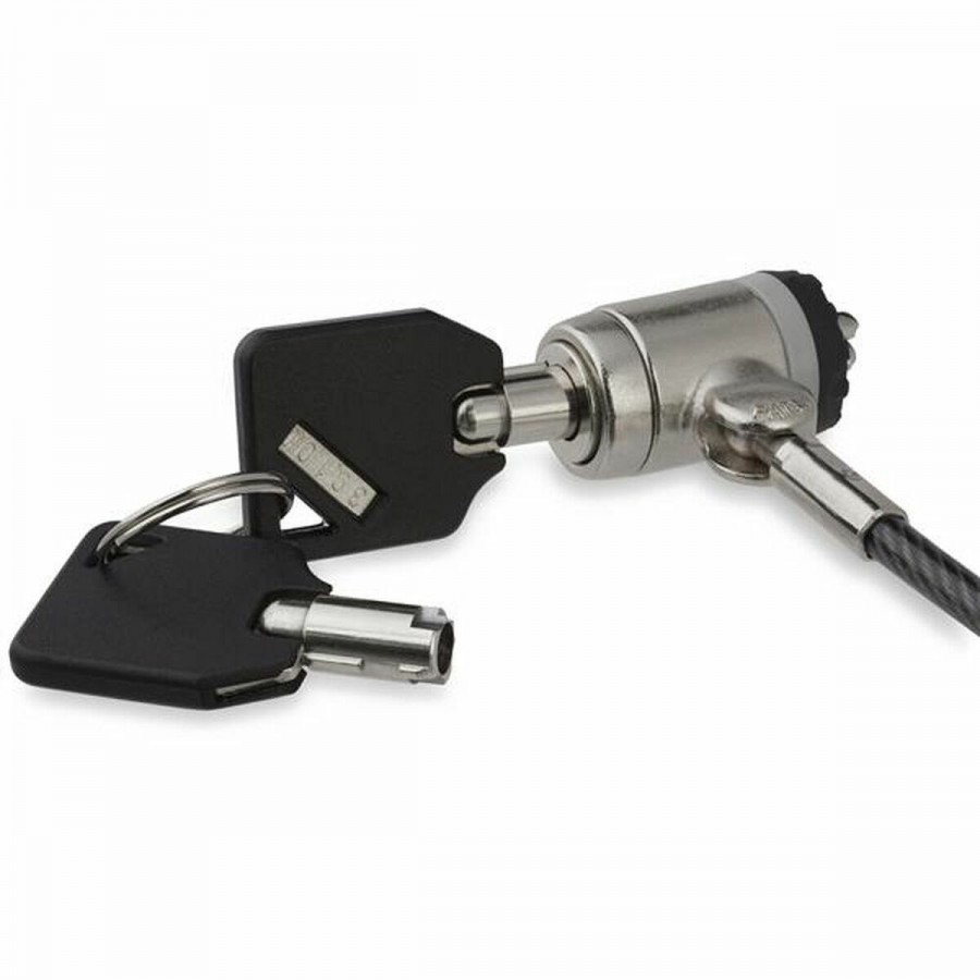 Security Cable Startech LTLOCKKEY 2 m
