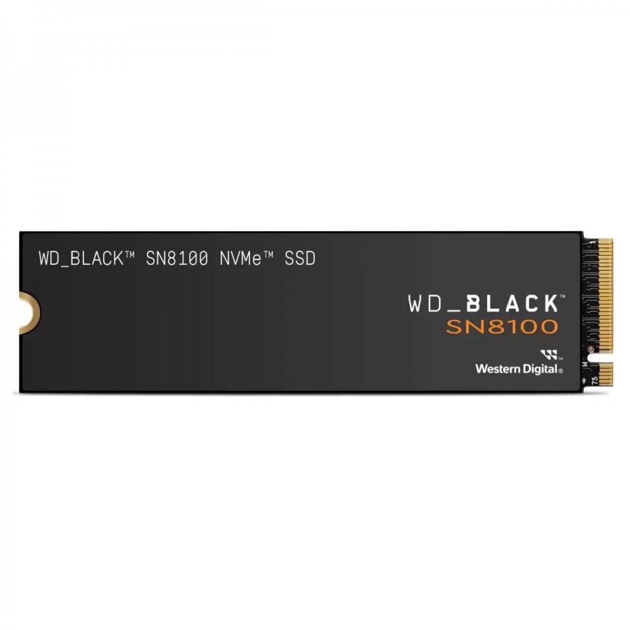 Hard Drive Western Digital WDS100T1X0M 1 TB SSD