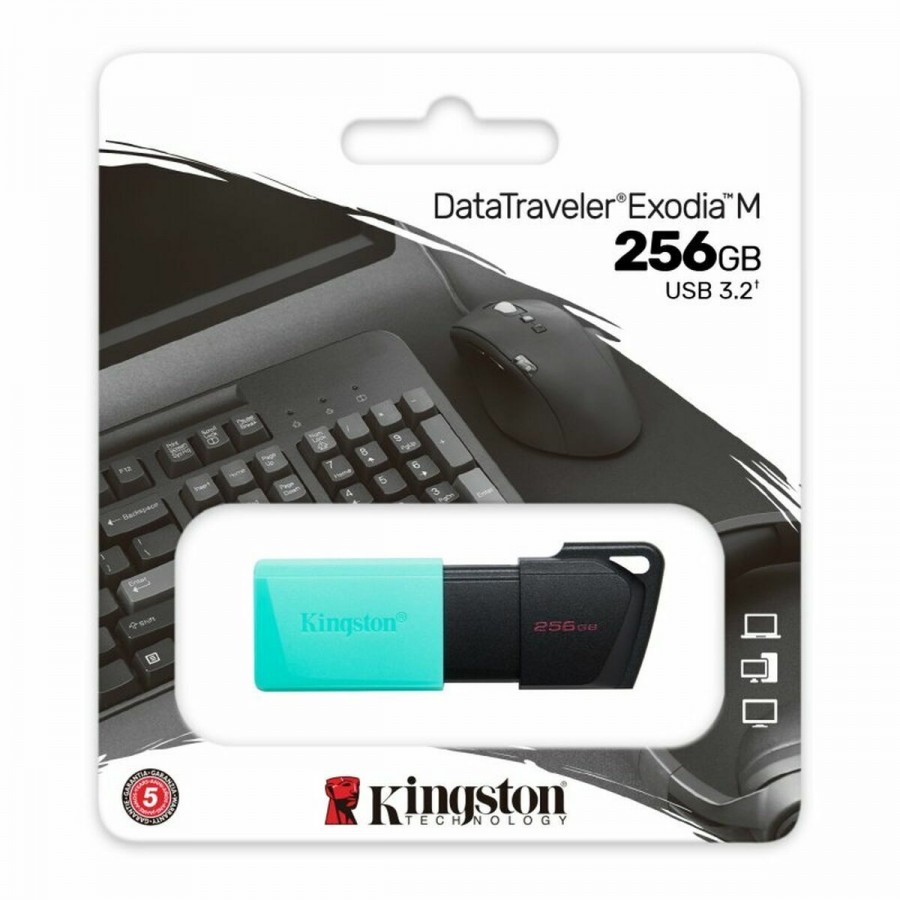 USB stick Kingston DTXM/256GB Black 256 GB
