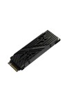Hard Drive Predator BL.9BWWR.123 2 TB SSD