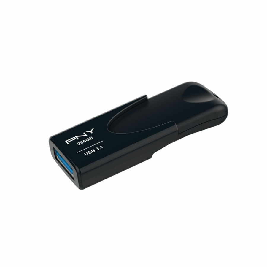 RAM Memory PNY Attache 4 Black 256 GB