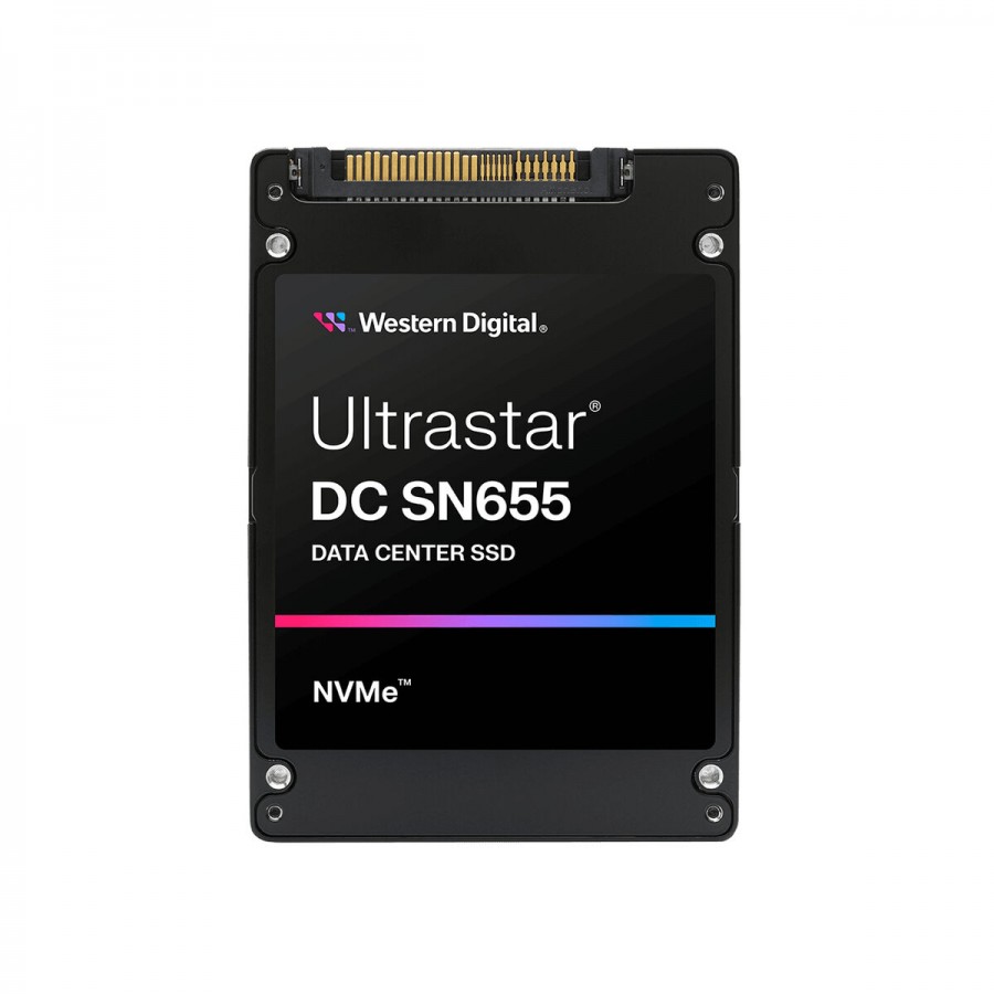 Hard Drive Western Digital 0TS2462 3,84 TB SSD