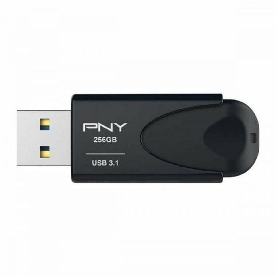 RAM Memory PNY Attache 4 Black 256 GB